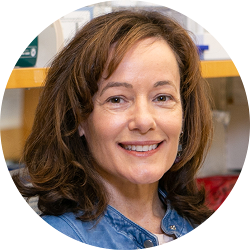Headshot of Sharon Cantor, PhD
