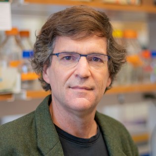 Erik Sontheimer