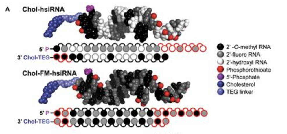 siRNA comparison