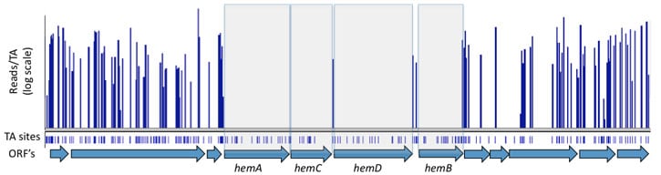 Phenotypic_profiling_picture2