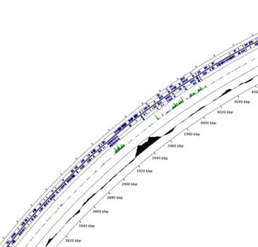 Phenotypic_profiling_picture3