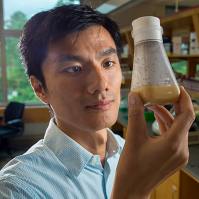 Zhao Zhang, PhD