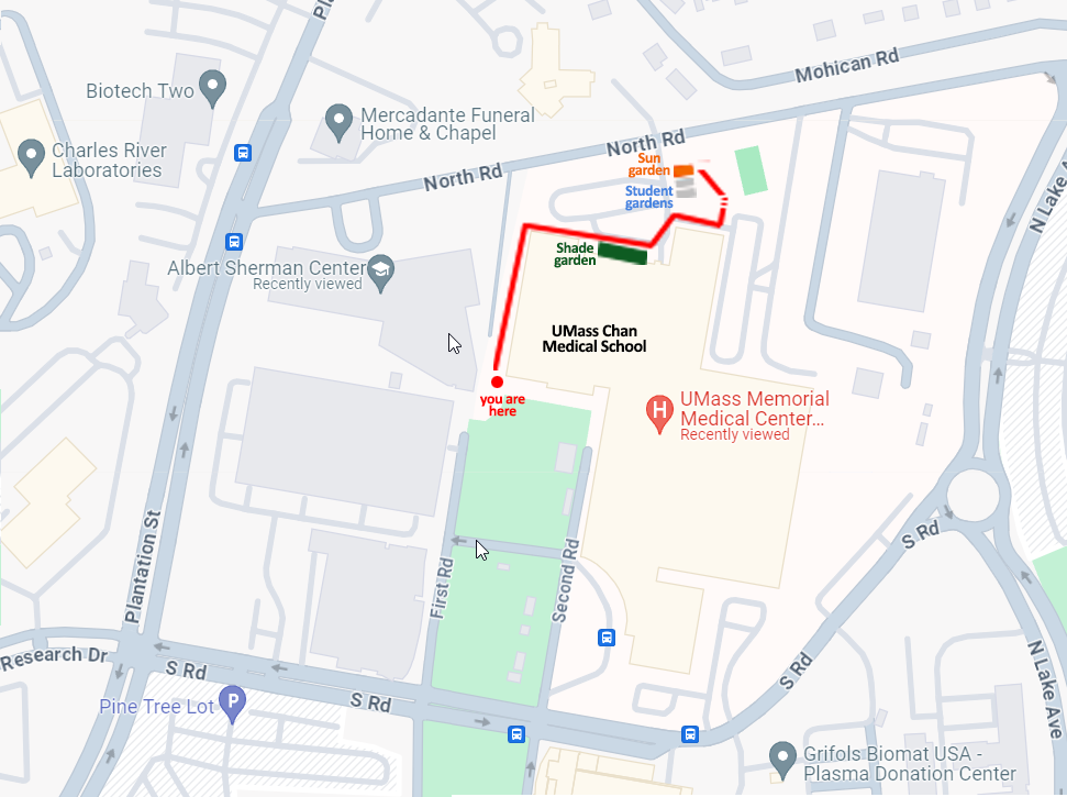 map showing pollinator gardens on campus