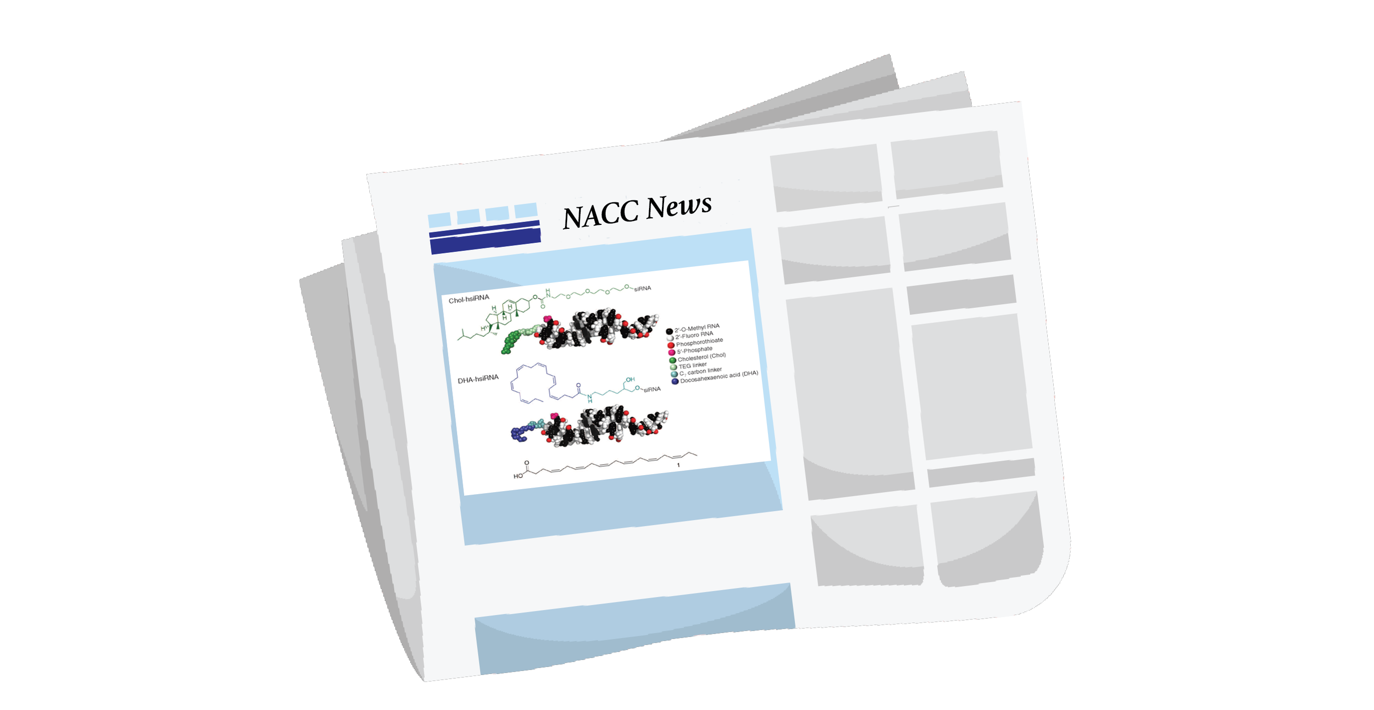  News Block.png