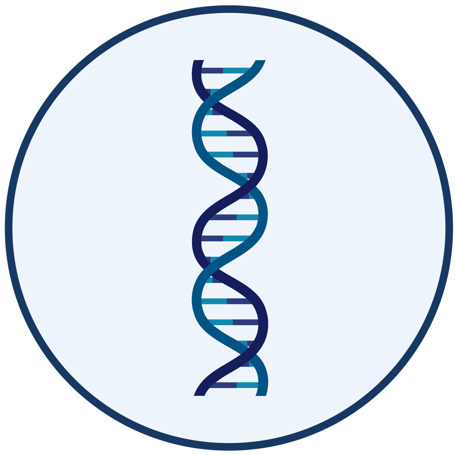 Image of DNA