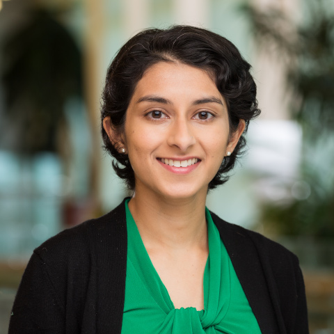 Hena Waseem, MD, MPH