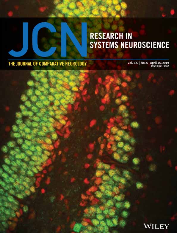 Quantitative morphological classification of layer 5 neurons of mouse primary visual cortex