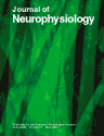 Morphological and physiological characterization of Layer 6 cortico-fugal neurons from mouse primary visual cortex