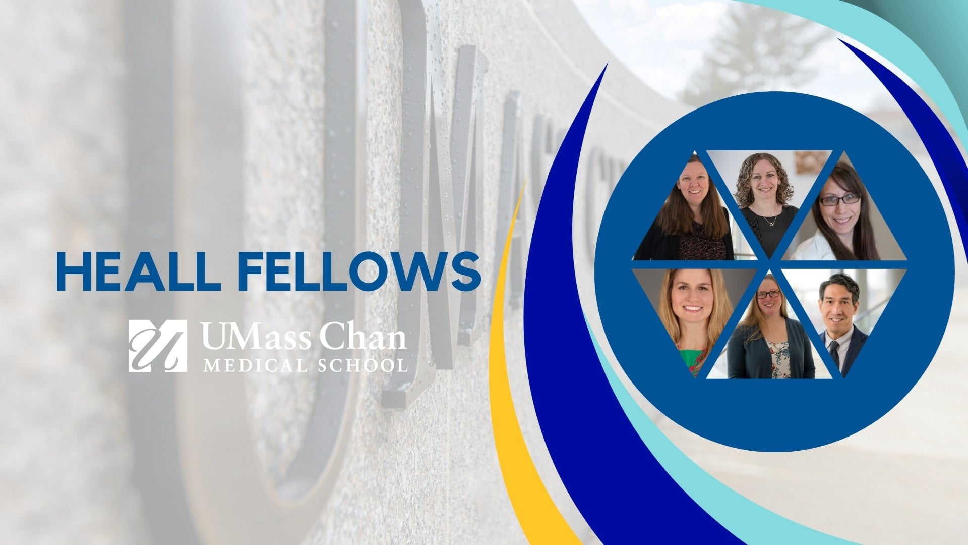 HEALL Fellows