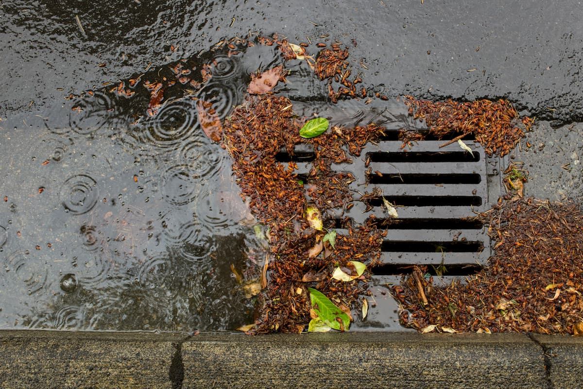 photo of a storm water drain 