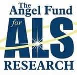 https://theangelfund.org/