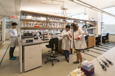 lab talk