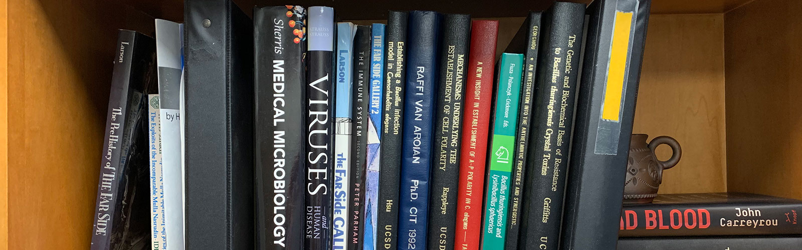 publications-slide.jpg