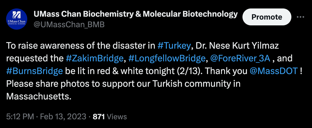 bmb twitter thread turkey 1.png