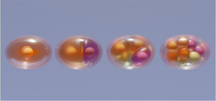 bmb blog resized eggs.png