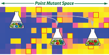 graphic depicting 3 Erlenmeyer Flasks filled with liquid on a colorful pixelated background