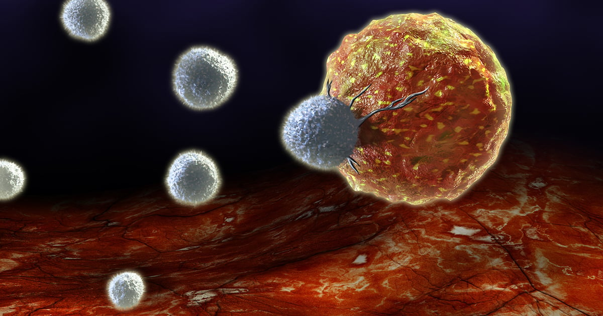 bigstock-T-cells-for SEO.jpg