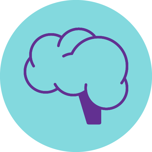  Brain icon