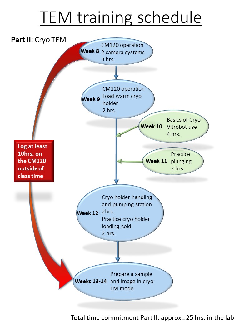 TEM training schedule w8-14