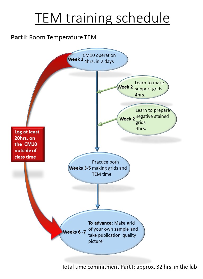 TEM training schedule w1-7