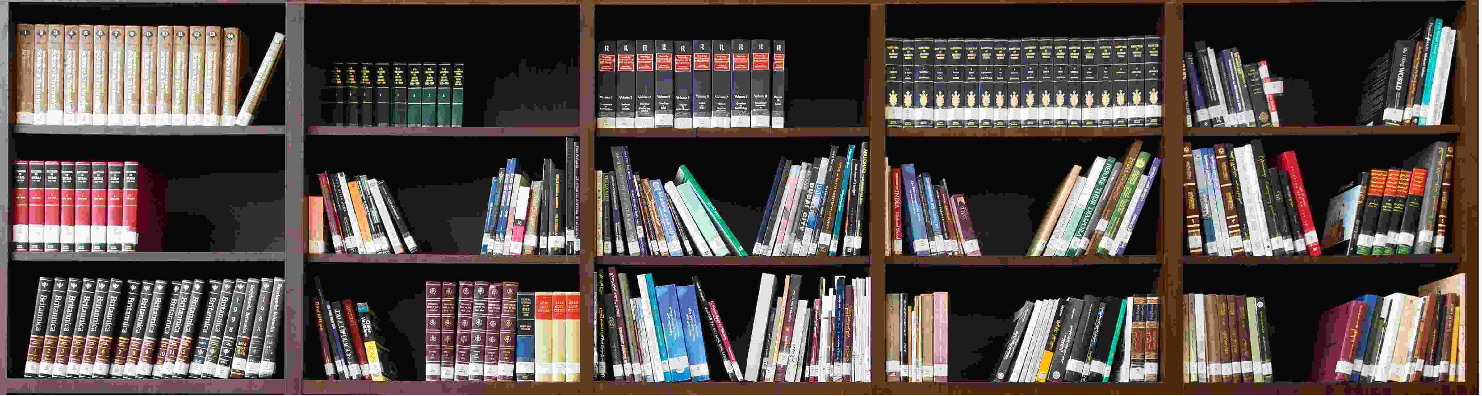 Books lined up on a brown bookshelf