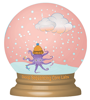 Snowglobe with DSCL logo