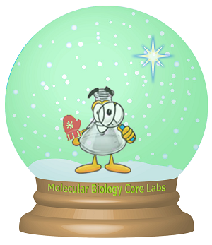 Snowglobe with MBCL logo