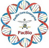 UMass Chan PacBio Core Enterprise logo