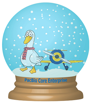 Snowglobe with PBCE logo