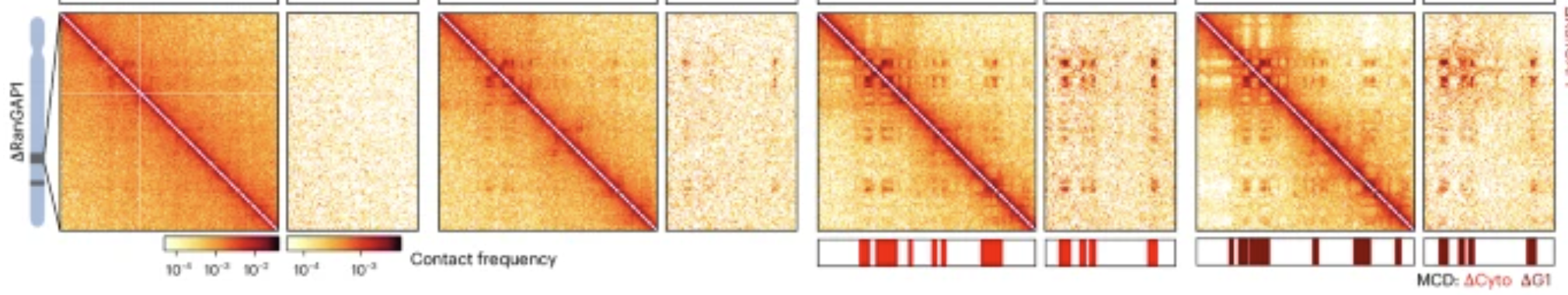 snippet from paper