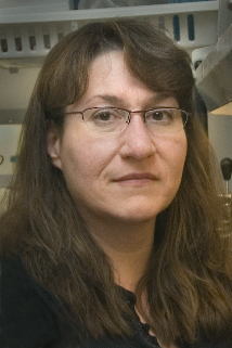 Sally Kent headshot
