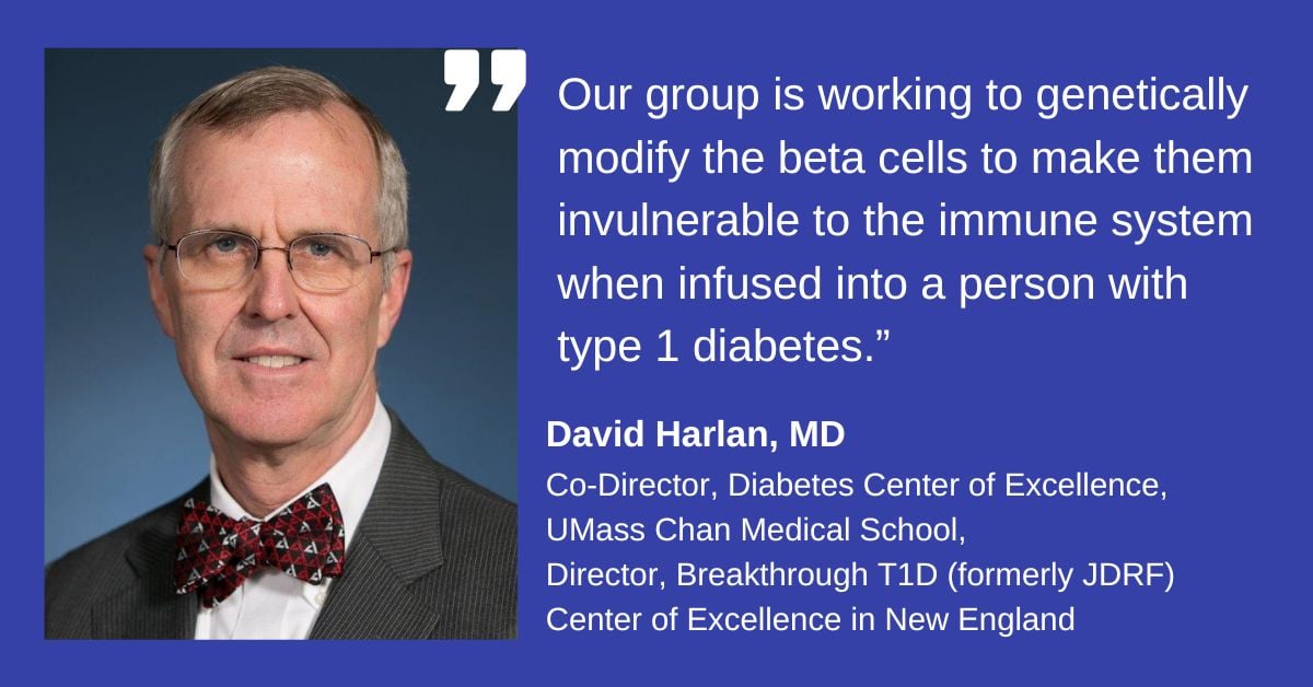 Dr. David Harlan headshot