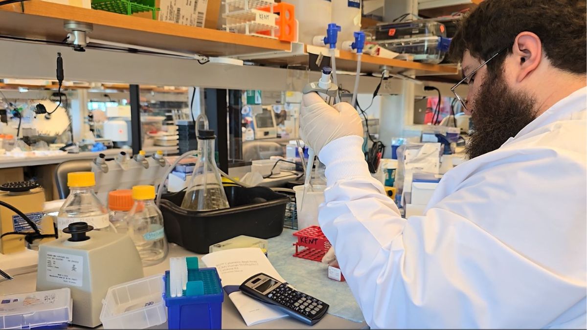 Kent lab researcher at work