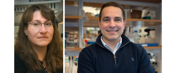 Headshots of Drs. Sally Kent and Michael Brehm side by side