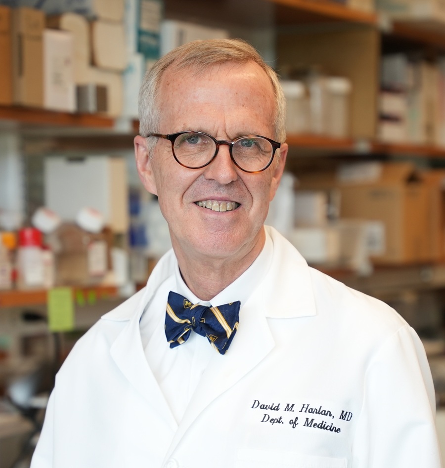 headshot of Dr. David Harlan in the lab