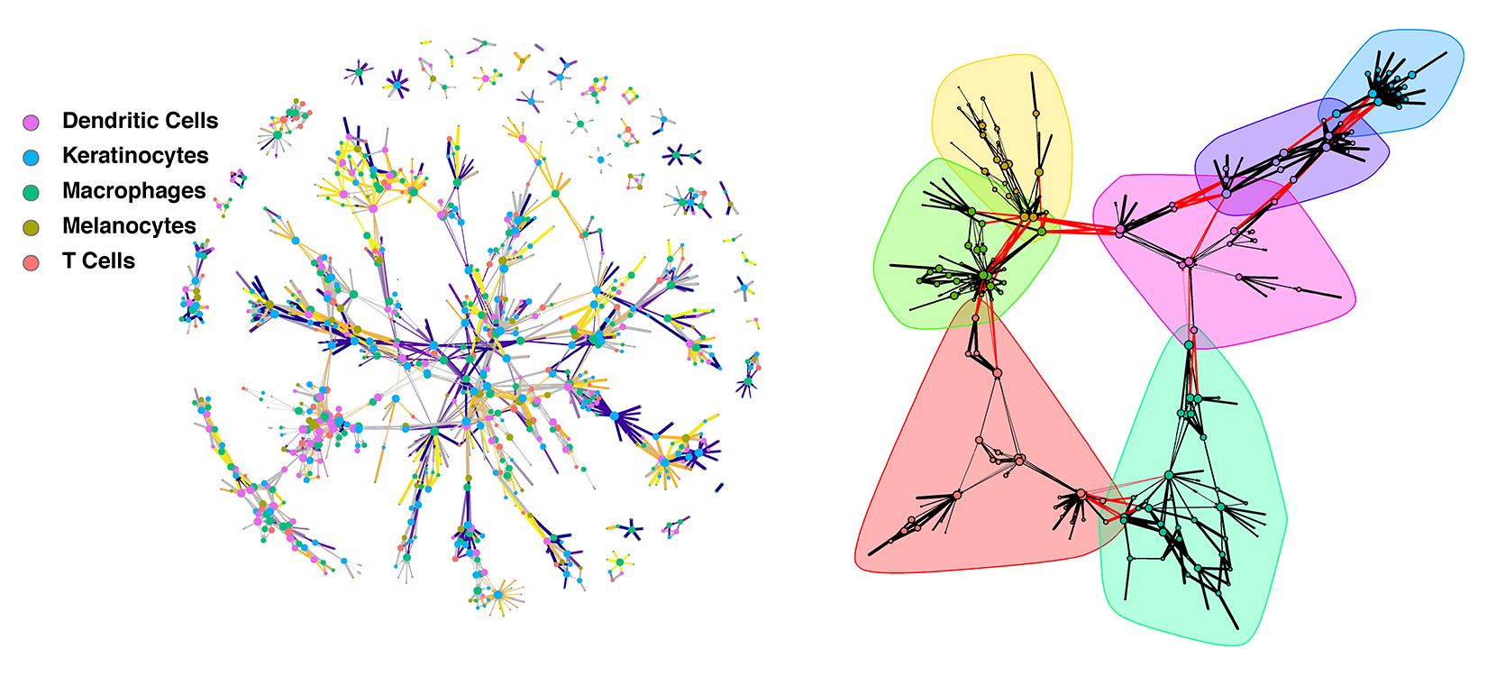 Jake_lab_network_pic.png