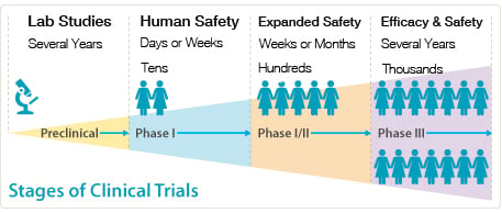 Stages of Clinical Trials