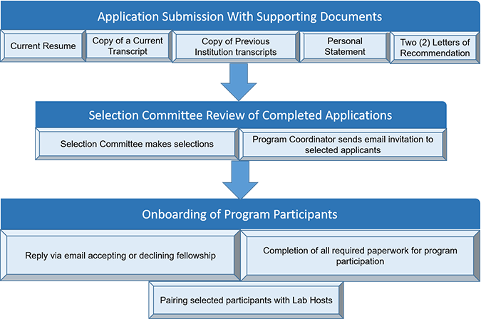 Selection process