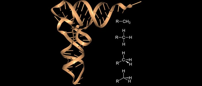  RNA methylation_resized.jpg