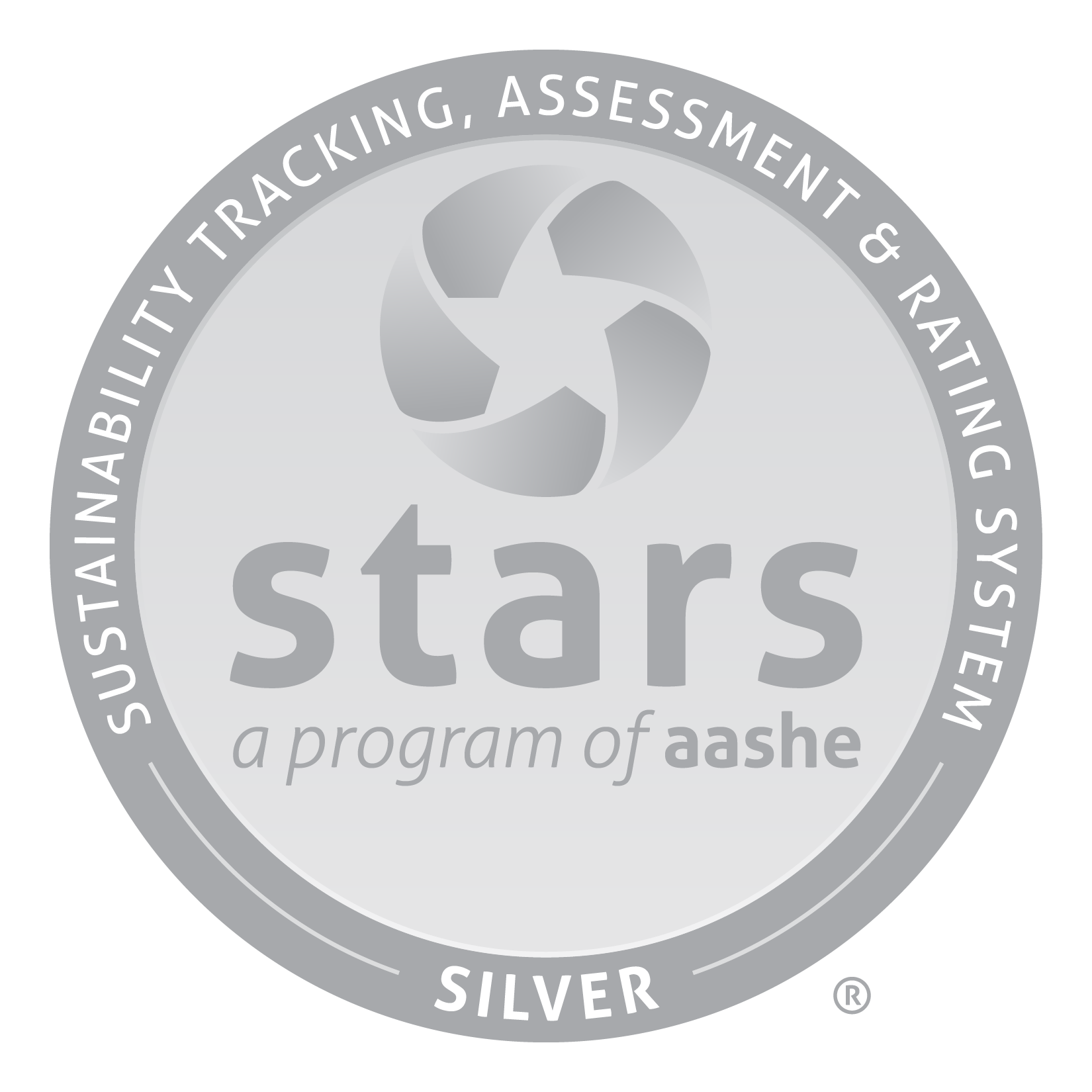 Stars silver medallion for efficiency