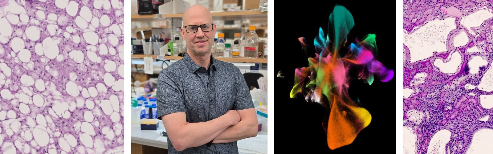 David Guertin, PhD UMass Chan Medical School