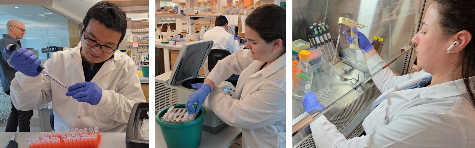 Guertin lab researchers 2026