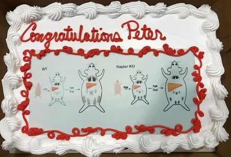 Peter defense cake.jpg