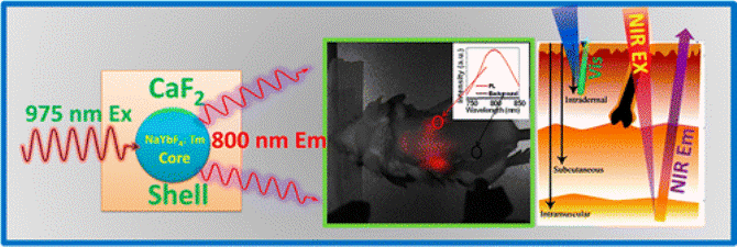 Core/Shell Nanoparticles with Efficient Near-Infrared to Near-Infrared Upconversion for High-Contrast Deep Tissue Bioimaging