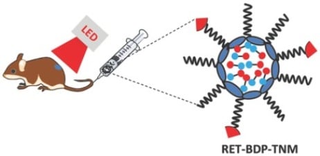 Enhancing Photodynamic Therapy through Resonance Energy Transfer Constructed Near-Infrared Photosensitized Nanoparticles. 