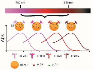 Tailoring dye-sensitized upconversion nanoparticle excitation bands towards excitation wavelength selective imaging