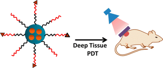 Ultralow-Power Near Infrared Lamp Light Operable Targeted Organic Nanoparticle Photodynamic Therapy