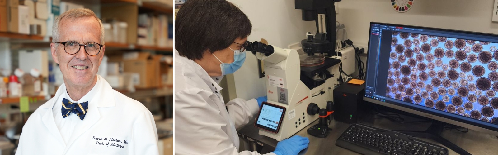 Dr. David Harlan headshot and Sam Redick, PhD, working in the lab