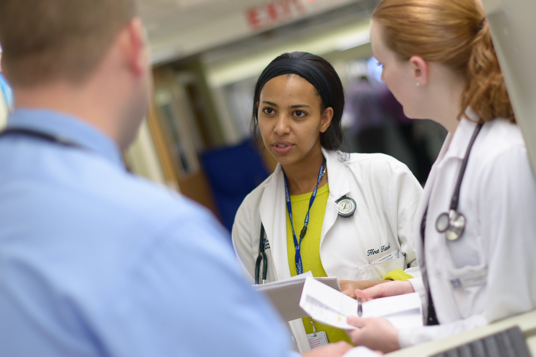 Students working at the medical school