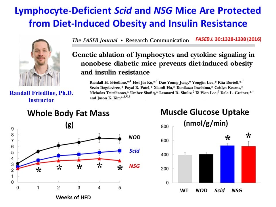 Research Obesity 1a